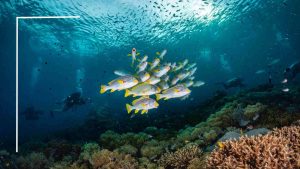 wisata di raja ampat