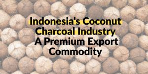 Indonesia's Coconut Charcoal Industry: A Premium Export Commodity